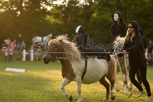 (c)SimoneHomberg_Ponyfest_Schauprogramm_20150606_0446