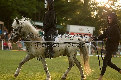 (c)SimoneHomberg_Ponyfest_Schauprogramm_20150606_0448