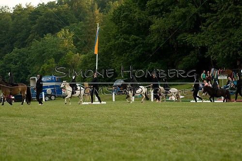 (c)SimoneHomberg_Ponyfest_Schauprogramm_20150606_0450