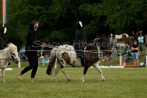(c)SimoneHomberg_Ponyfest_Schauprogramm_20150606_0454
