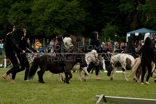 (c)SimoneHomberg_Ponyfest_Schauprogramm_20150606_0455