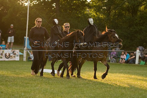 (c)SimoneHomberg_Ponyfest_Schauprogramm_20150606_0459