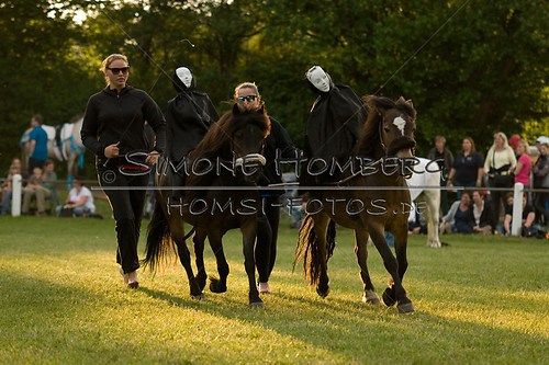 (c)SimoneHomberg_Ponyfest_Schauprogramm_20150606_0461
