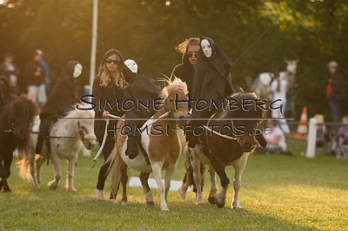 (c)SimoneHomberg_Ponyfest_Schauprogramm_20150606_0464