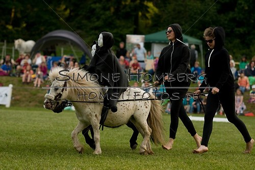(c)SimoneHomberg_Ponyfest_Schauprogramm_20150606_0467