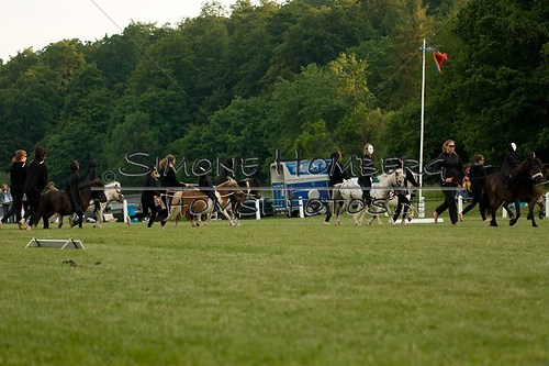 (c)SimoneHomberg_Ponyfest_Schauprogramm_20150606_0468