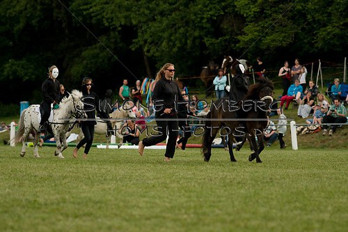 (c)SimoneHomberg_Ponyfest_Schauprogramm_20150606_0469