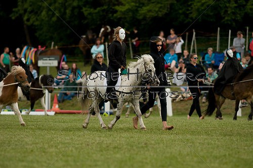 (c)SimoneHomberg_Ponyfest_Schauprogramm_20150606_0470