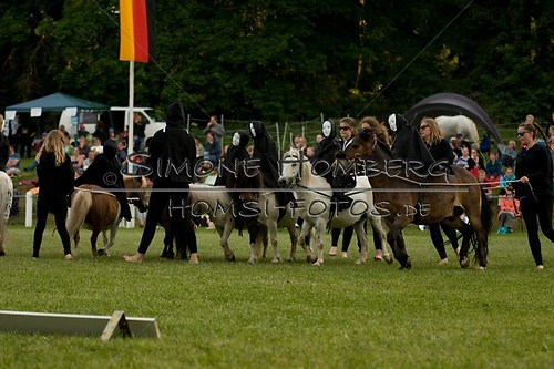 (c)SimoneHomberg_Ponyfest_Schauprogramm_20150606_0475