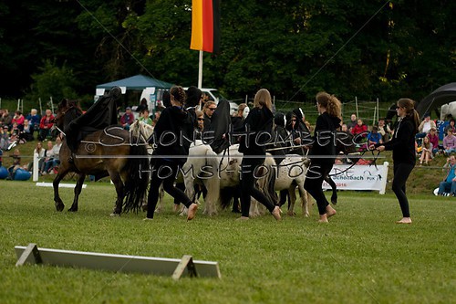 (c)SimoneHomberg_Ponyfest_Schauprogramm_20150606_0476