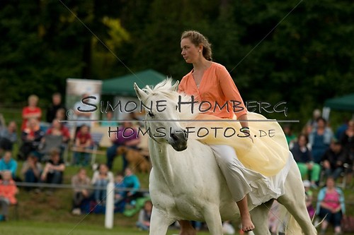 (c)SimoneHomberg_Ponyfest_Schauprogramm_20150606_0480