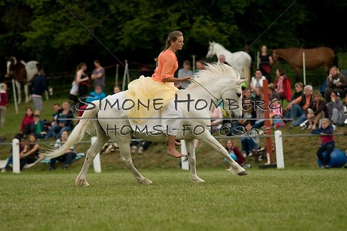 (c)SimoneHomberg_Ponyfest_Schauprogramm_20150606_0483