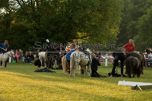 (c)SimoneHomberg_Ponyfest_Schauprogramm_20150606_0485