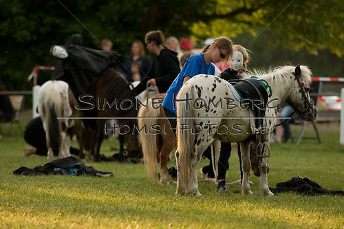 (c)SimoneHomberg_Ponyfest_Schauprogramm_20150606_0486