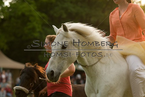 (c)SimoneHomberg_Ponyfest_Schauprogramm_20150606_0494