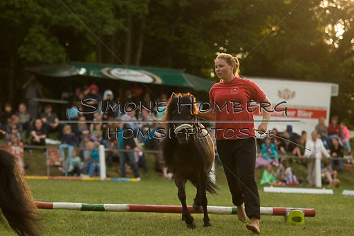 (c)SimoneHomberg_Ponyfest_Schauprogramm_20150606_0495