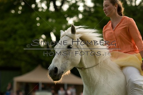 (c)SimoneHomberg_Ponyfest_Schauprogramm_20150606_0502