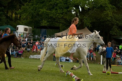 (c)SimoneHomberg_Ponyfest_Schauprogramm_20150606_0503