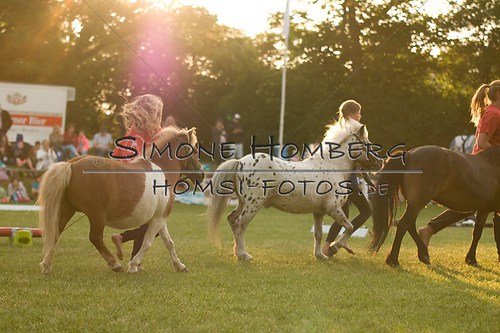 (c)SimoneHomberg_Ponyfest_Schauprogramm_20150606_0505