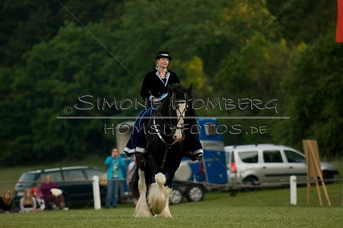 (c)SimoneHomberg_Ponyfest_Schauprogramm_20150606_0507