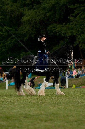 (c)SimoneHomberg_Ponyfest_Schauprogramm_20150606_0508