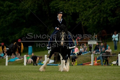 (c)SimoneHomberg_Ponyfest_Schauprogramm_20150606_0509
