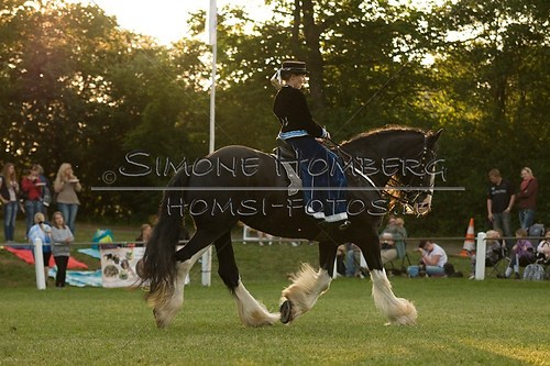 (c)SimoneHomberg_Ponyfest_Schauprogramm_20150606_0513