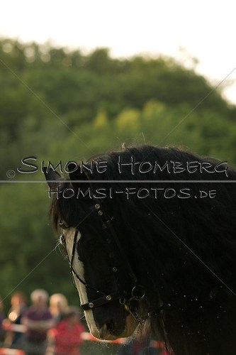 (c)SimoneHomberg_Ponyfest_Schauprogramm_20150606_0514