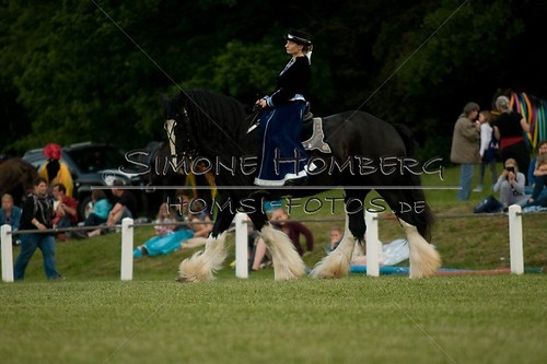 (c)SimoneHomberg_Ponyfest_Schauprogramm_20150606_0518