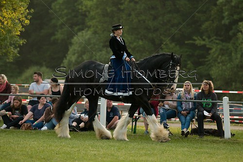 (c)SimoneHomberg_Ponyfest_Schauprogramm_20150606_0520