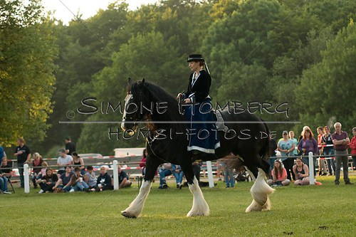 (c)SimoneHomberg_Ponyfest_Schauprogramm_20150606_0521