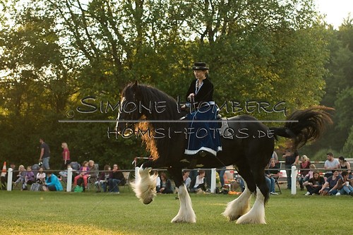(c)SimoneHomberg_Ponyfest_Schauprogramm_20150606_0524
