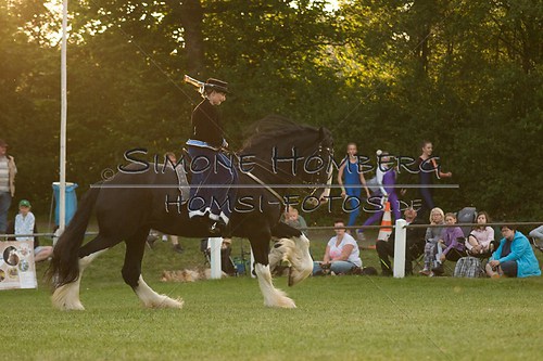 (c)SimoneHomberg_Ponyfest_Schauprogramm_20150606_0528