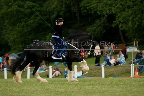 (c)SimoneHomberg_Ponyfest_Schauprogramm_20150606_0533