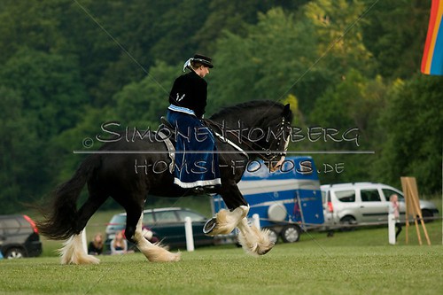 (c)SimoneHomberg_Ponyfest_Schauprogramm_20150606_0534