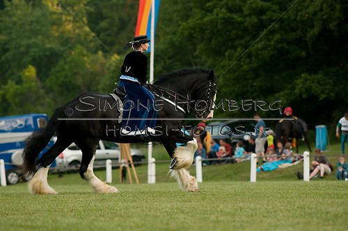 (c)SimoneHomberg_Ponyfest_Schauprogramm_20150606_0535