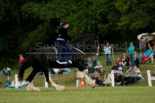 (c)SimoneHomberg_Ponyfest_Schauprogramm_20150606_0537