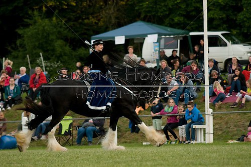 (c)SimoneHomberg_Ponyfest_Schauprogramm_20150606_0538