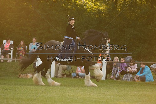 (c)SimoneHomberg_Ponyfest_Schauprogramm_20150606_0541