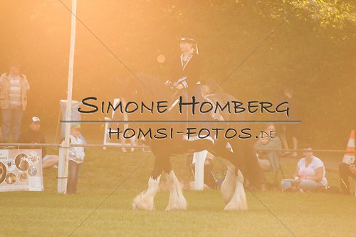 (c)SimoneHomberg_Ponyfest_Schauprogramm_20150606_0544