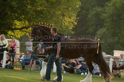 (c)SimoneHomberg_Ponyfest_Schauprogramm_20150606_0545