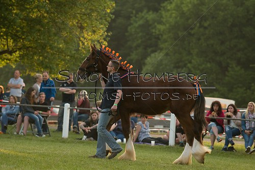 (c)SimoneHomberg_Ponyfest_Schauprogramm_20150606_0547