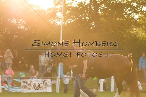 (c)SimoneHomberg_Ponyfest_Schauprogramm_20150606_0548