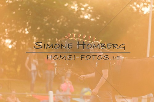 (c)SimoneHomberg_Ponyfest_Schauprogramm_20150606_0550