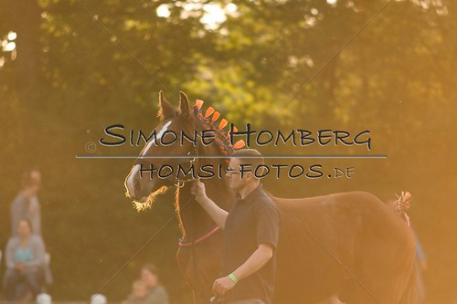 (c)SimoneHomberg_Ponyfest_Schauprogramm_20150606_0551