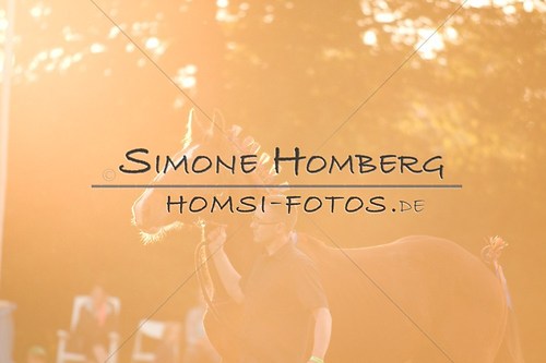 (c)SimoneHomberg_Ponyfest_Schauprogramm_20150606_0552