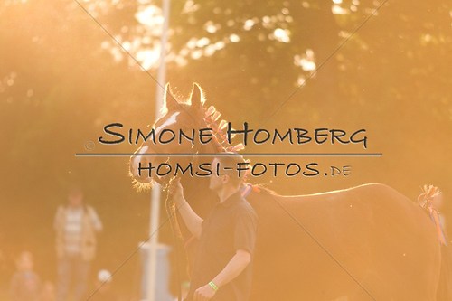 (c)SimoneHomberg_Ponyfest_Schauprogramm_20150606_0553