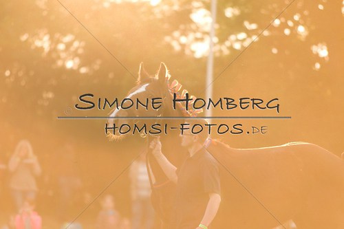 (c)SimoneHomberg_Ponyfest_Schauprogramm_20150606_0554