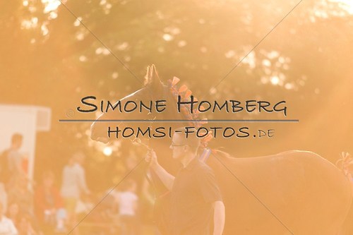 (c)SimoneHomberg_Ponyfest_Schauprogramm_20150606_0555