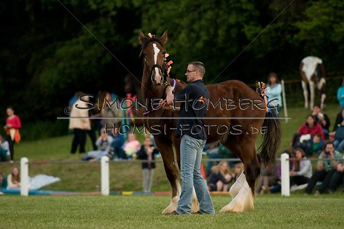 (c)SimoneHomberg_Ponyfest_Schauprogramm_20150606_0557